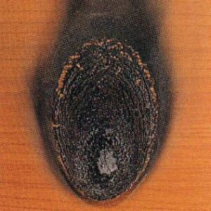 405a2efc4a030cb4460d0d24a787ec92_1679480572_8952.jpg 405a2efc4a030cb4460d0d24a787ec92_1679480572_8952.jpg