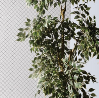 90862d24e20fbdc1109a62a1fba5a7fd_1679413420_1452.jpg 90862d24e20fbdc1109a62a1fba5a7fd_1679413420_1452.jpg