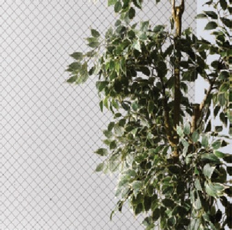 90862d24e20fbdc1109a62a1fba5a7fd_1679413425_3312.jpg 90862d24e20fbdc1109a62a1fba5a7fd_1679413425_3312.jpg